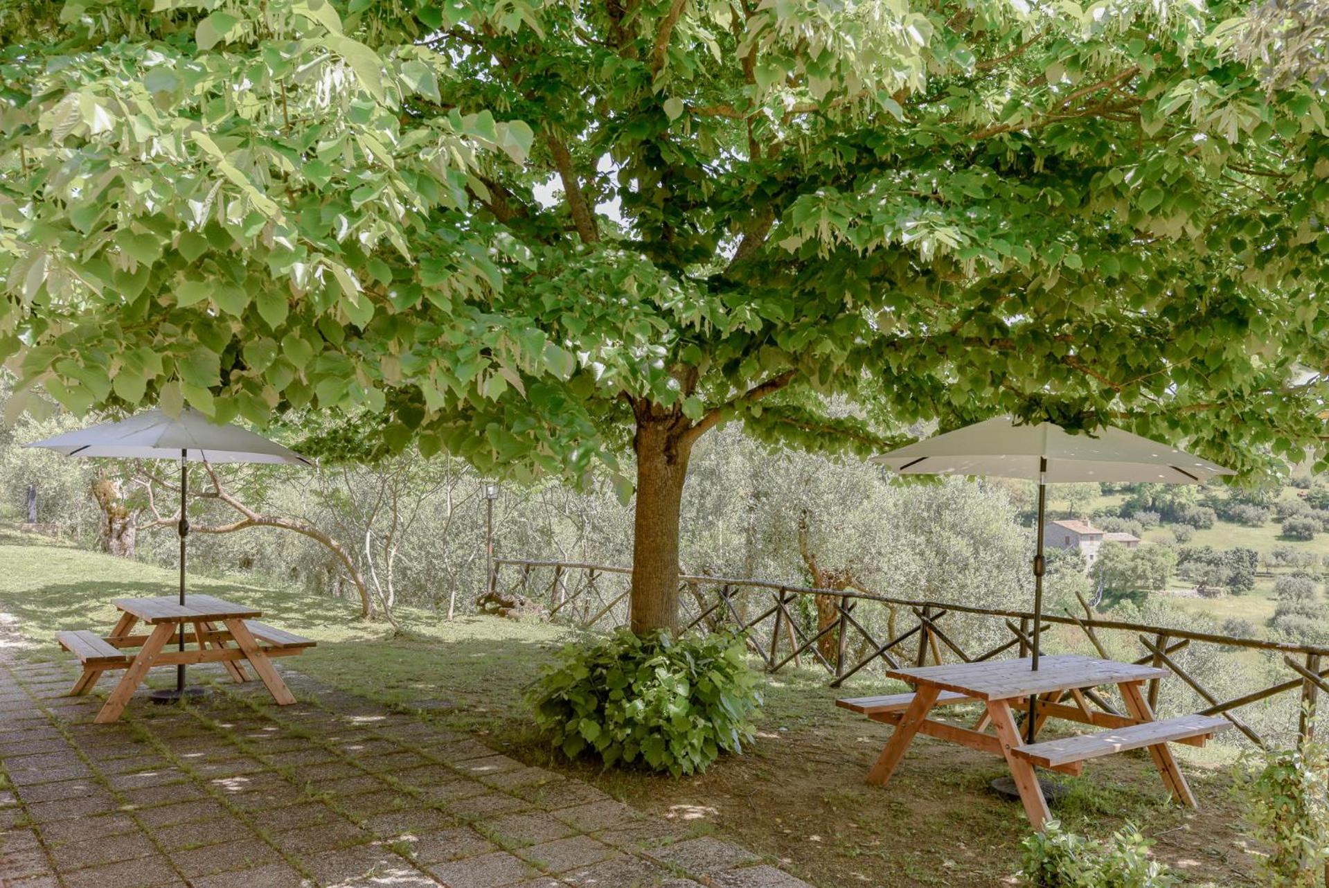 Agriturismo Il Mulino Delle Canutole Magione Exterior foto
